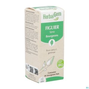 Herbalgem Figuier Bio Spray 15ml